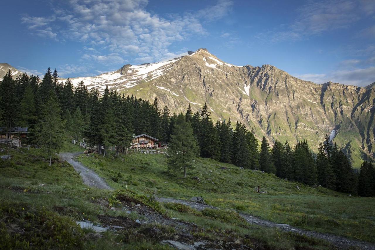 M1 - Mountain Living Lägenhet Rauris Exteriör bild